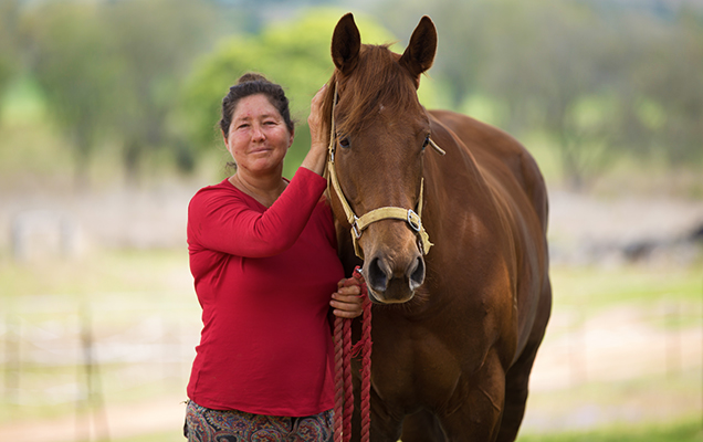 horse standing with owner